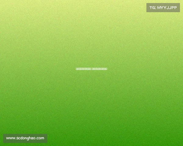 曼联补强中场目标分析 实用至上谁是最佳选择